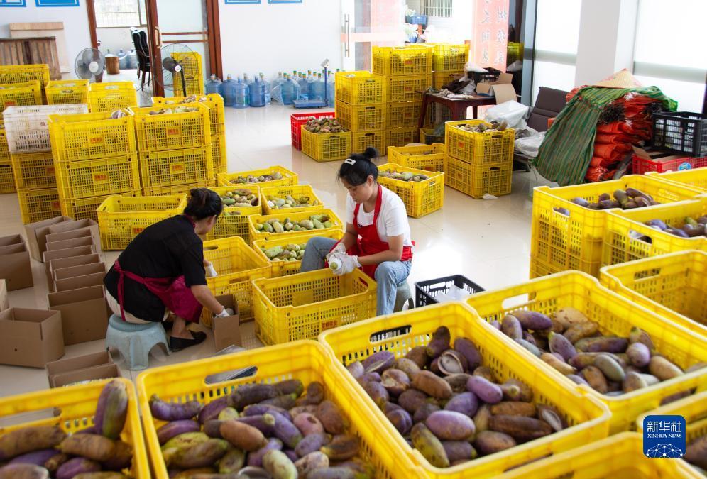金沙赌埸网址